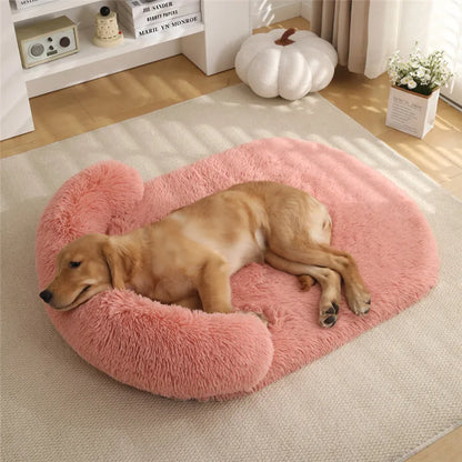 Petorest Orthopedic Waterproof Dog Couch – Washable & Non-Slip Pet Bed