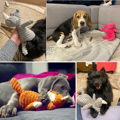 Petorest Soft Plush Chew Toy – Interactive & Durable Squeaky Dog Toy
